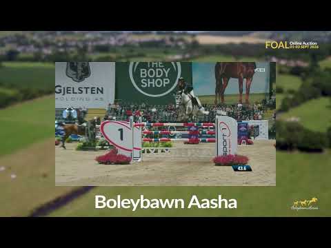 Lot 3