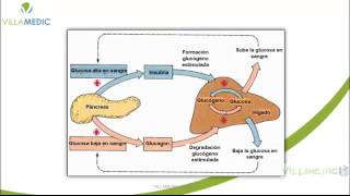 VIRTUAL ENDOCRINOLOGÍA DIABETES PARTE 1