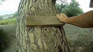 Rope Swing by Mona Lake