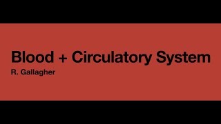 Blood + Circulatory System