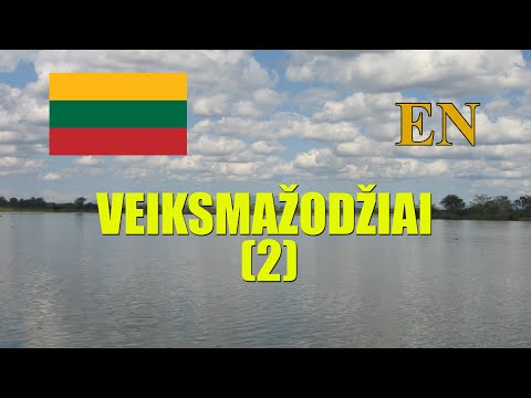 LITHUANIAN LESSON 216 - VEIKSMAŽODŽIAI (2) - VERBS (2)
