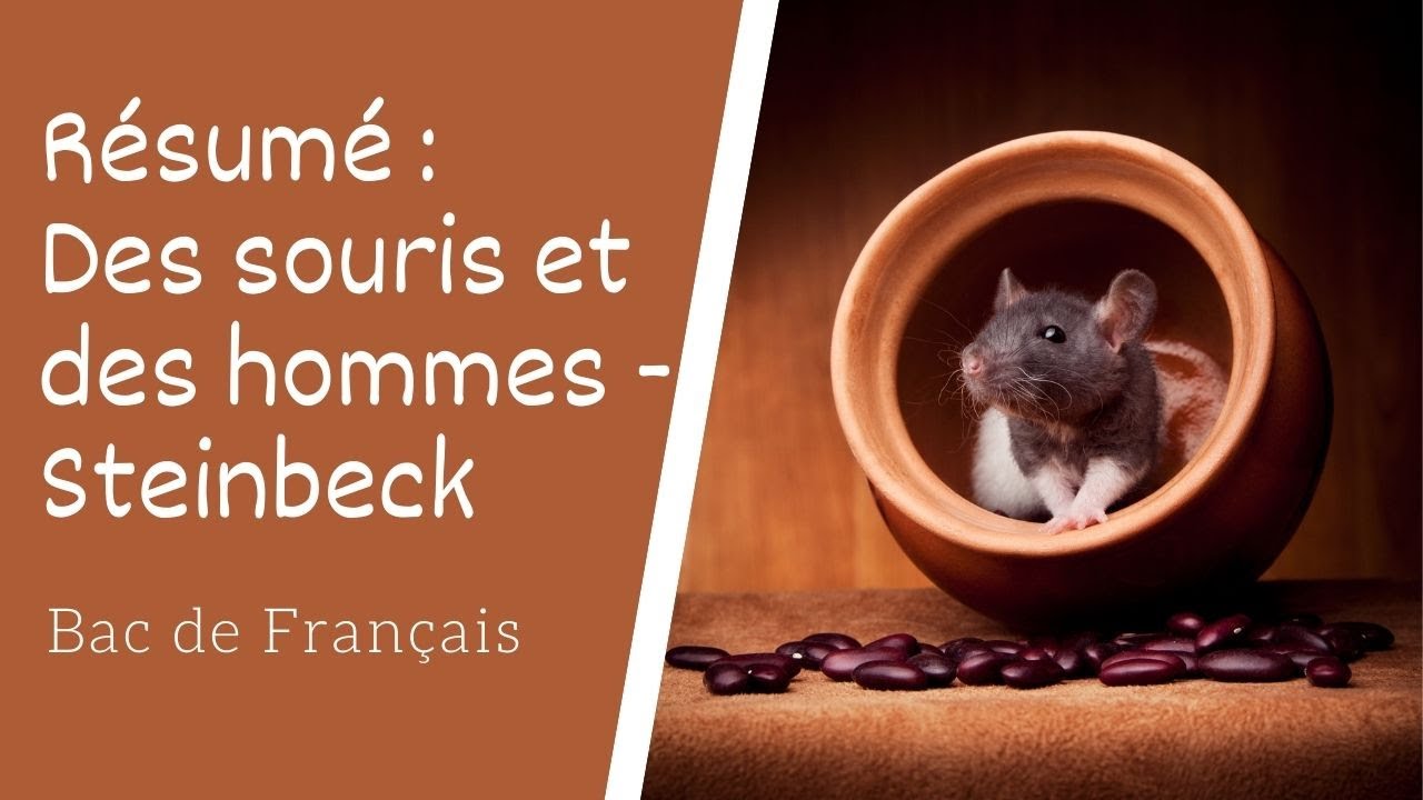 Des souris et des hommes Résumé