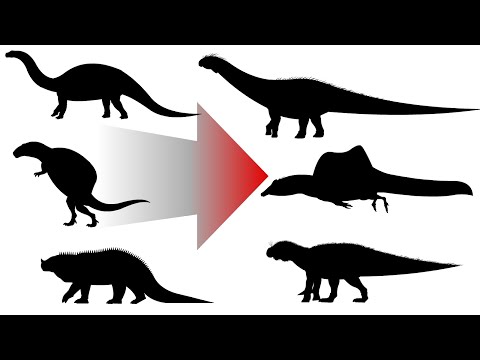 DINOSAURS THROUGH HISTORY | Animation