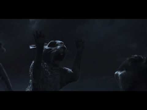 🐇 Run Rabbits Run (Watership Down) 🐰