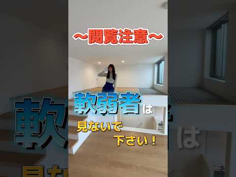 アパート用犬23匹