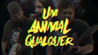 Um Animal Qualquer Music Video