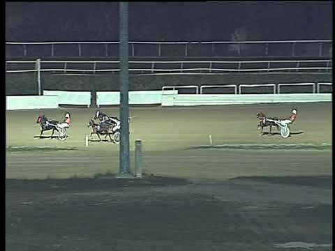 Trotto 15/10/2017 - Pony