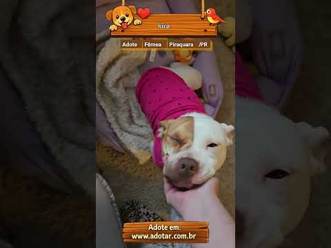 Vídeo de kira