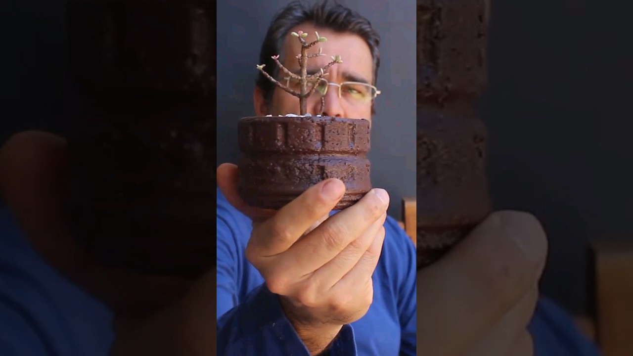 Everything becomes a vase here! #diy