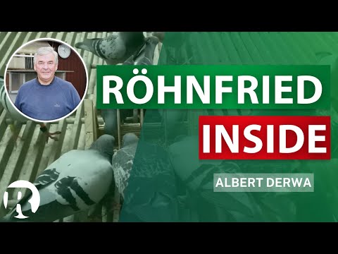 Röhnfried Inside bei Albert Derwa