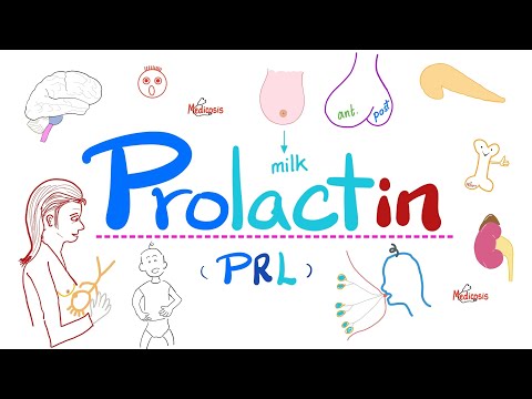 Prolactin - Prolactinoma - Hyperprolactinemia - Dopamine, TRH -  Pathophysiology