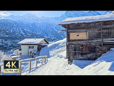 VR 360° Winter Snow Gimmelwald Switzerland 4K Walking Tour