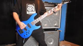 HOLOCAUST - Death or Glory - Bass cover as recorded by Six Feet Under