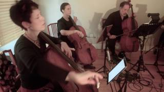Portland Cello Project: 