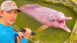 Saving Abandoned AQUARIUM FISH From GREEN SLIME POND!
