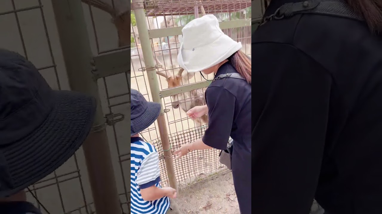 Là 1 thằng đàn ông Sa nói được là … làm được