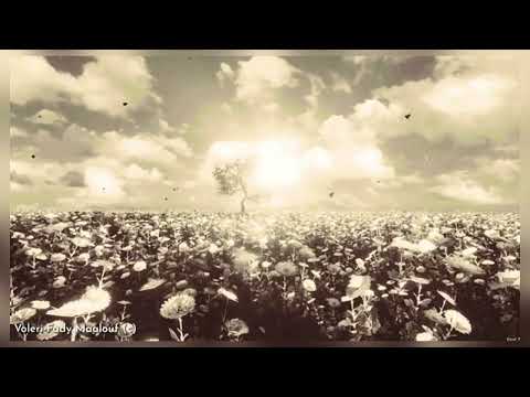 VOLERI - FADY MAALOUF