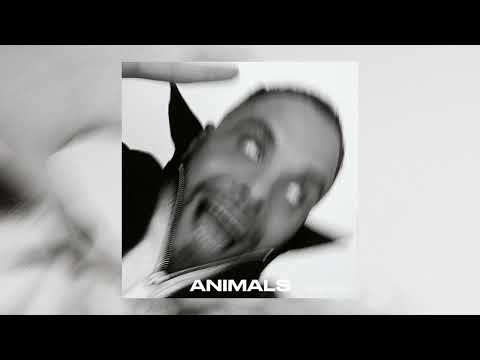 Kassa Overall - ANIMALS (Full Album)