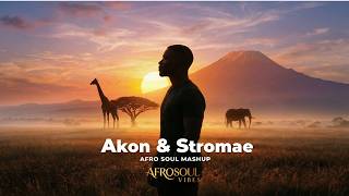 Stromae & Akon | Afro Soul Mashup Trending (AfroSoul Vibes)
