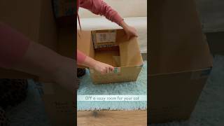 DIY A Cozy Room For Your Cat #cats #cat #catshorts