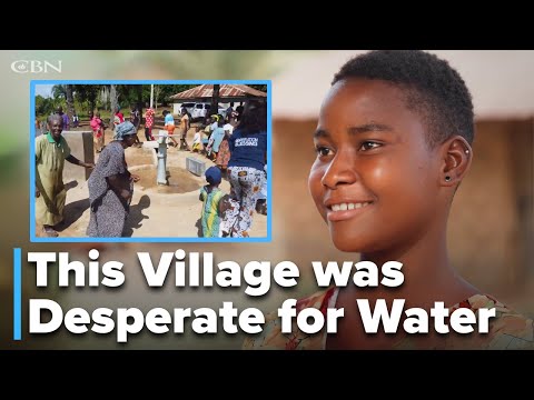 Witness21 Editor  2025 06 28