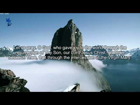 Regina caeli O Queen of Heaven ~ Powerful Daily Prayers #prayers #daily #powerful #shorts