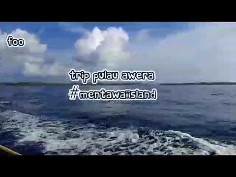 Welcome to Mentawai 2020