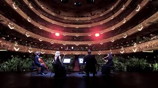 Plants in the opera house and songs in the garden!