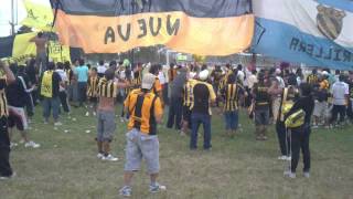 Jarillero palmira mendoza