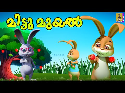 മിട്ടു മുയൽ | Kids Cartoon Stories Malayalam | Kids Cartoon | Mittu Muyal