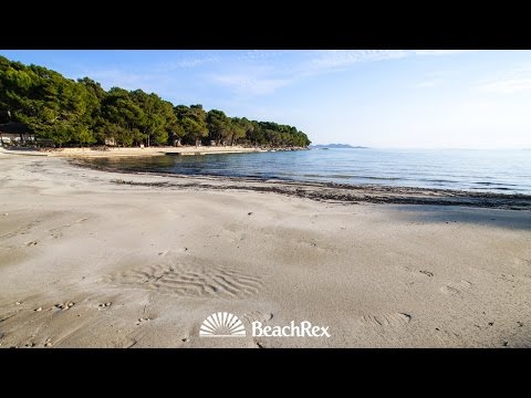Pine beach, Pakoštane, Croatia