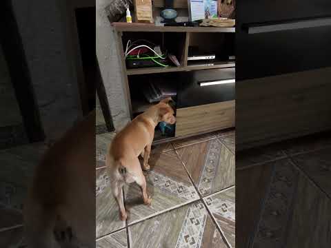 Santana do Garambéu ❤️💕