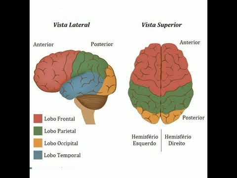Nikotina KF - O Julgamento (Capítulo 7 Parte 1) "O Senhor é mais inteligente" Continua...