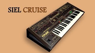 Video thumbnail for SIEL CRUISE Analog Synthesizer 1979 | HD DEMO by AnalogAudio1