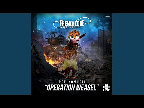 Operation Weasel