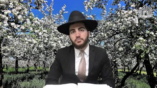 הרב יצחק מאזוז - הלכות ברכת האילנות