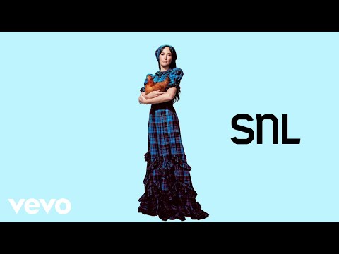 Kacey Musgraves - Too Good to be True (Live On SNL)