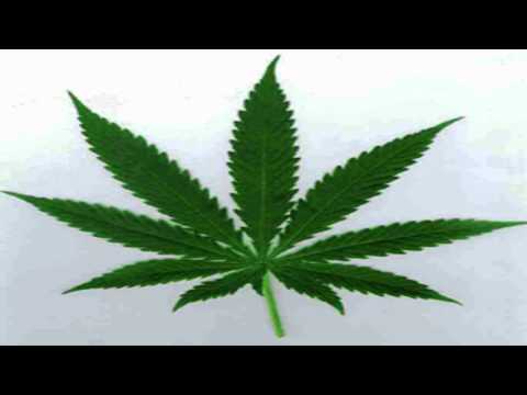 New Monkey Tune RAVE TUNE