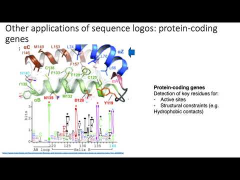 MCB 182 Lecture 7.7 - PWM applications in scanning the genome for TF binding, other applications