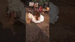 Download lagu barongan salto - dewi durga feat singo banyu langit #shorts mp3