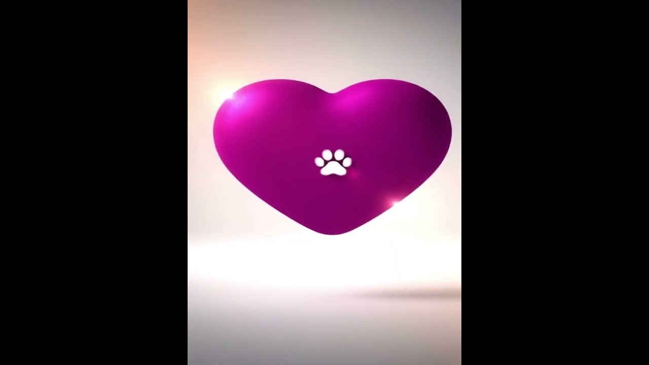 Cachorro raça SRD-ViraLata idade 2 anos nome Karamellow 