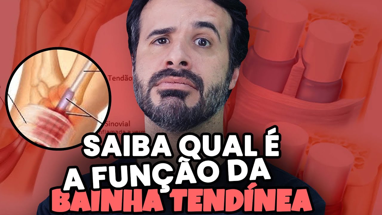 SAIBA QUAL É A FUNÇÃO DA BAINHA TENDÍNEA.
