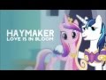 haymaker - Love is in Bloom 