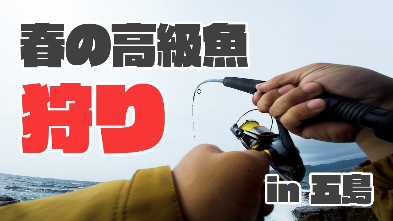 五島の荒磯を歩いて知る人ぞ知る春の高級魚を釣り上げて料理したら昇天した