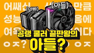 퀘이사존