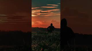 Download lagu Bahan Story Viral Trend Hari Ini 6 #bahanstoryviraltrendinghariini #story #viral #trending #music mp3