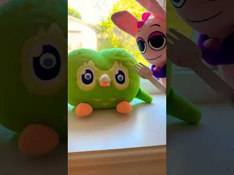 Duo Owl Funny IRL Chaos Fails 🦉 Totally Unexpected