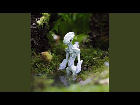 fernweh (feat. bom`bayu & backindabooth)