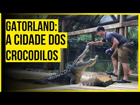 GATORLAND: A CIDADE DOS CROCODILOS