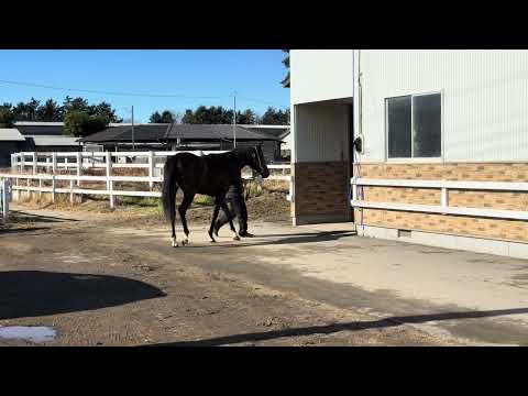 {{itemName}}_video_thumbnail